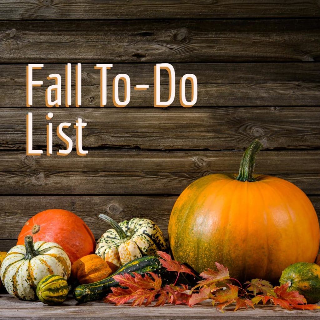 5 Things for Your Home and Fall To-Do List