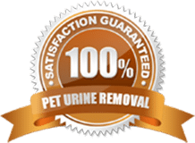 100% Satisfaction Guaranteed Pet Urine Odor Removal with Heirloom Oriental Rug Cleaning